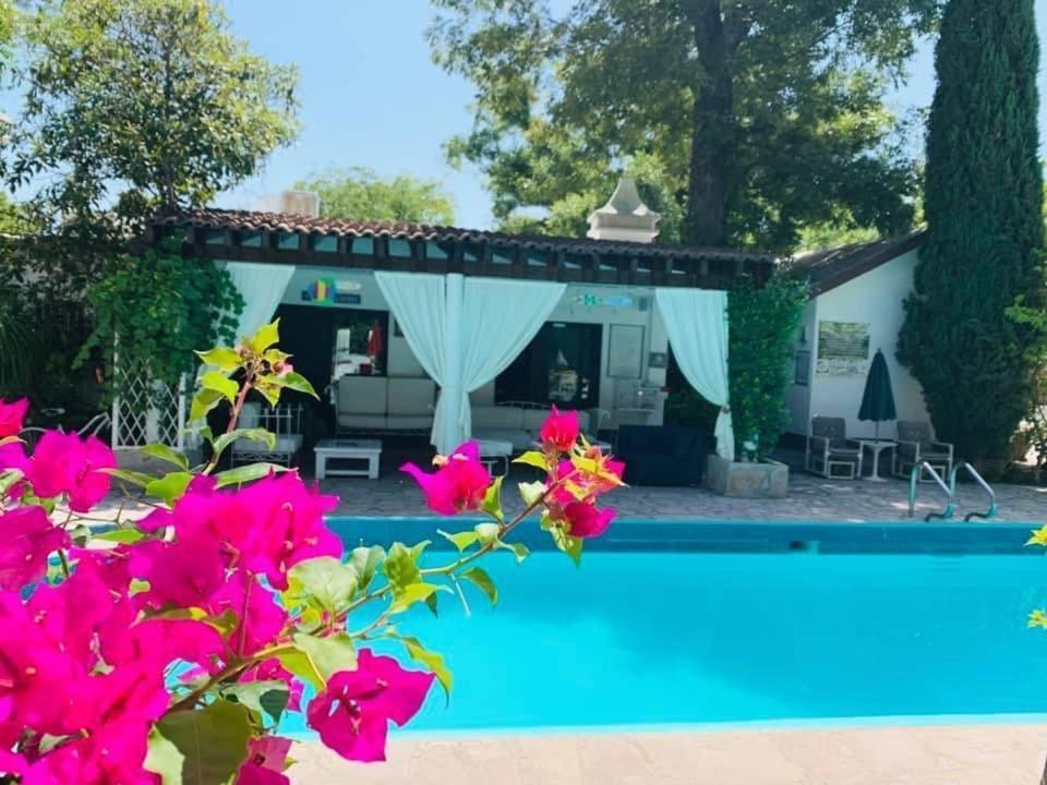 La Casita Inn Bustamante Buitenkant foto