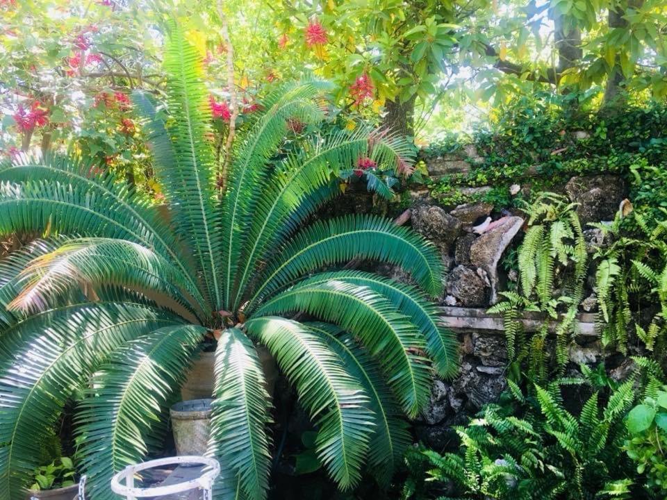 La Casita Inn Bustamante Buitenkant foto