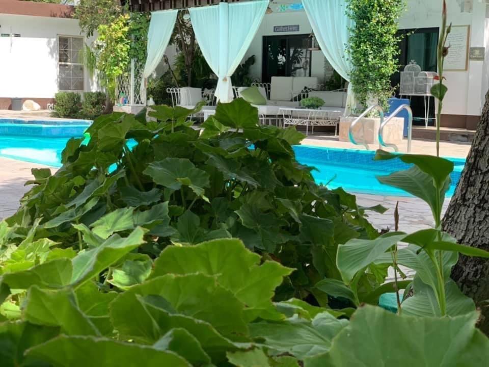 La Casita Inn Bustamante Buitenkant foto
