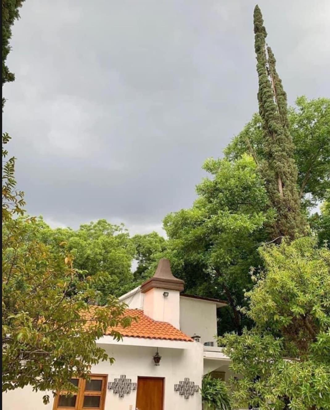 La Casita Inn Bustamante Buitenkant foto