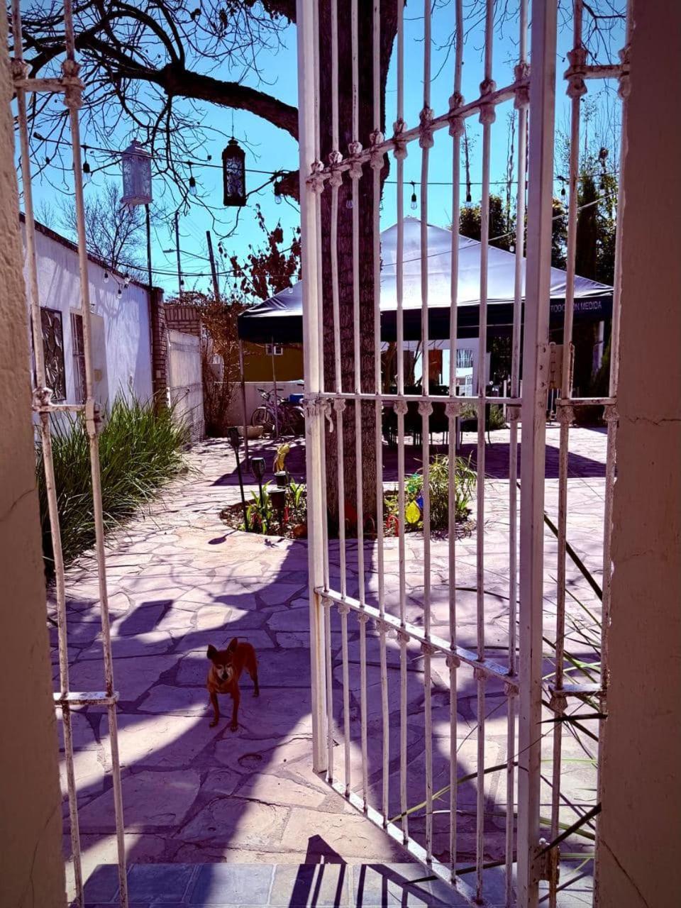 La Casita Inn Bustamante Buitenkant foto