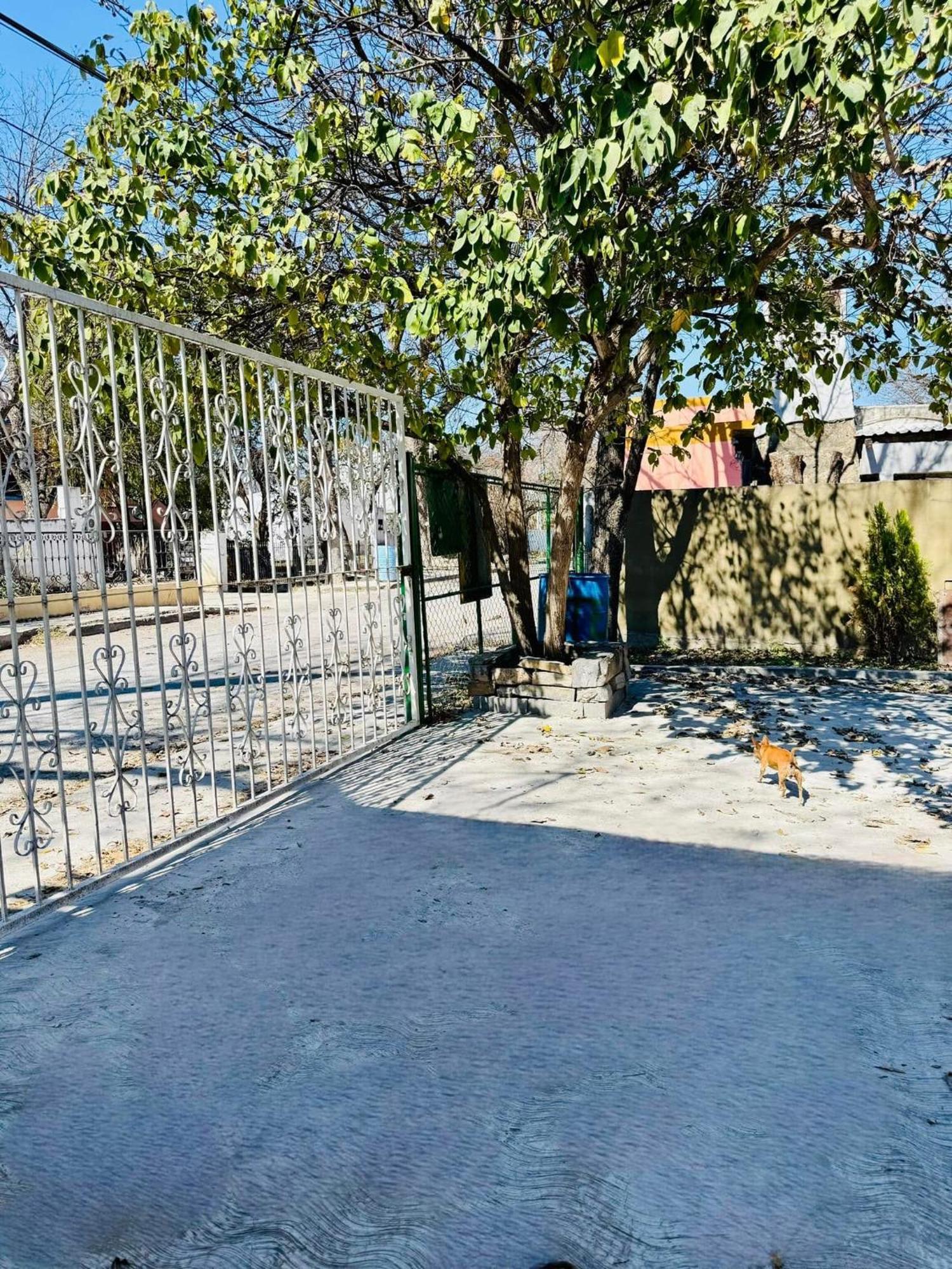La Casita Inn Bustamante Buitenkant foto