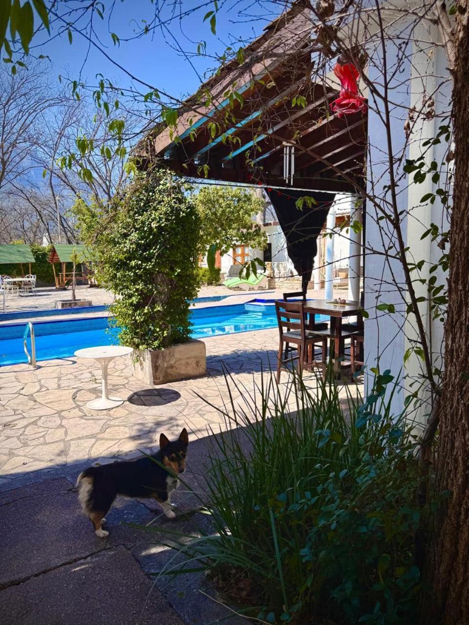 La Casita Inn Bustamante Buitenkant foto